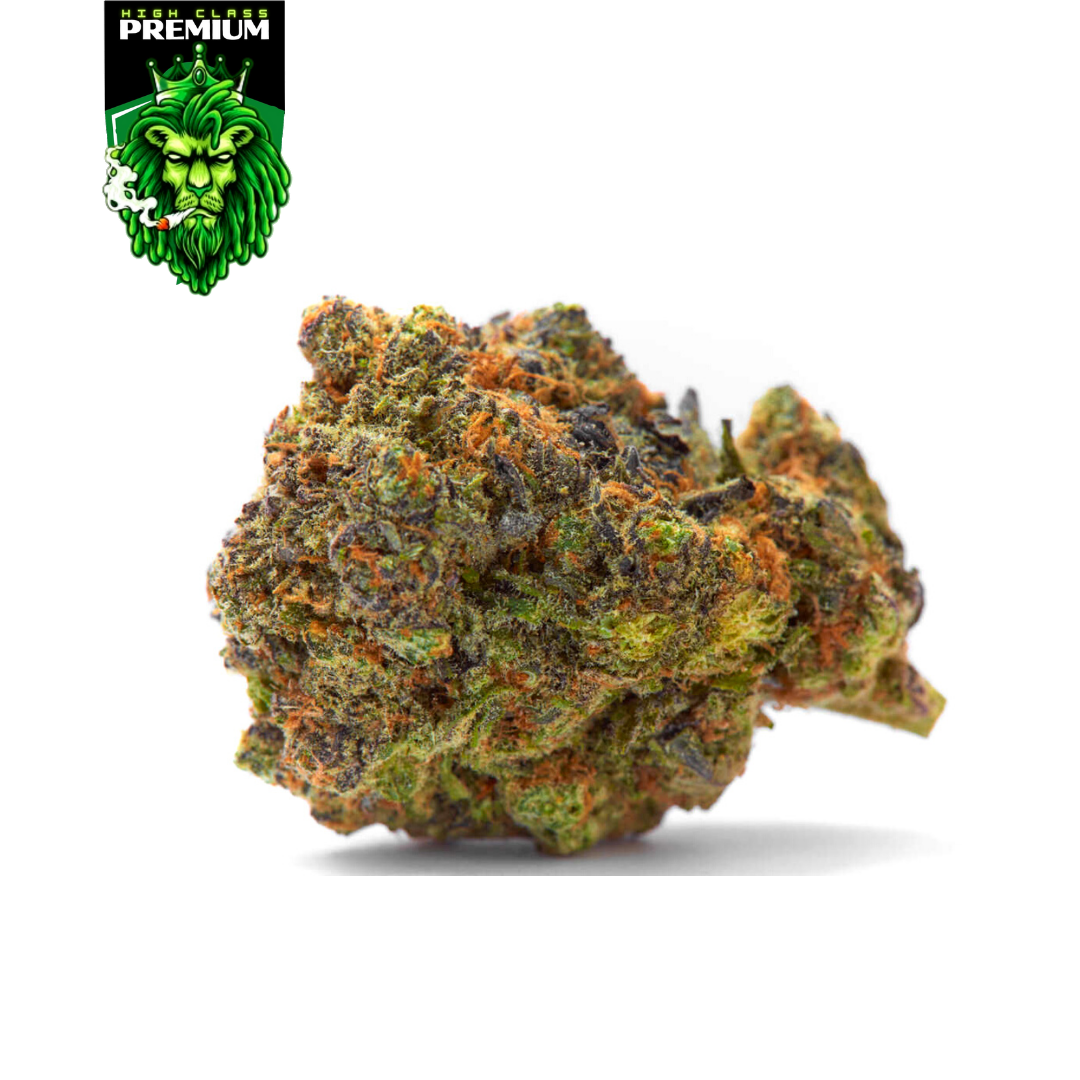 Fruit Punch